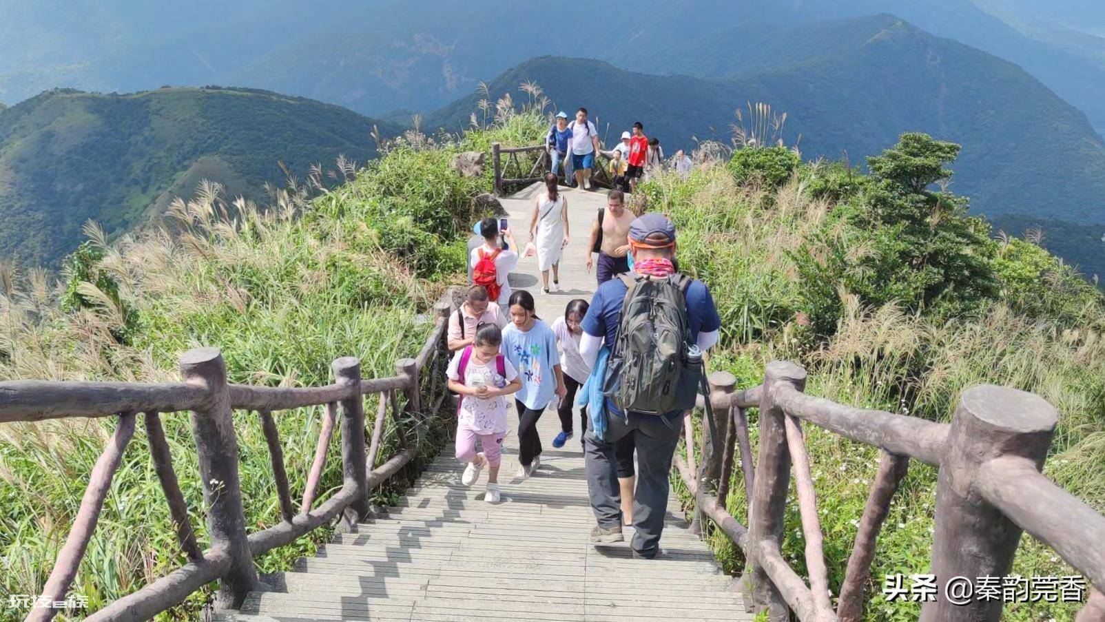 东莞第一高峰是什么山(分享登顶银瓶山的爬山攻略)-图片13